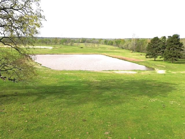 Land for sale in Lovelady, Texas