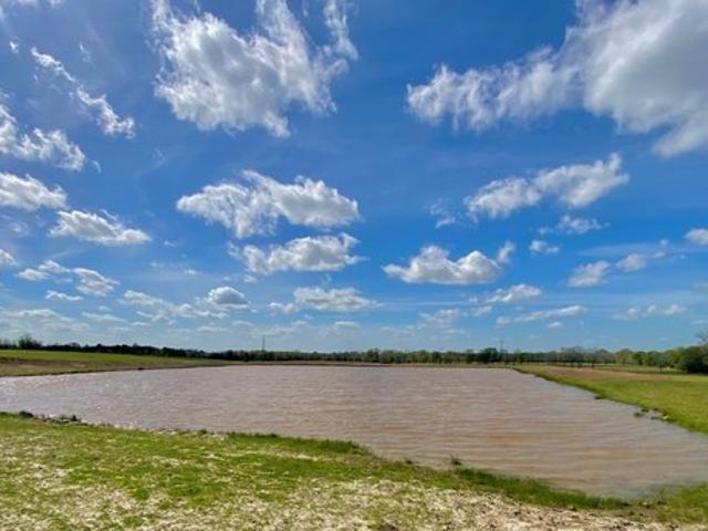 Land for sale in Lovelady, Texas