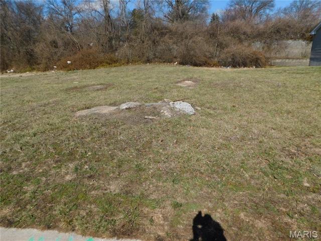 Land for sale in Ferguson, Missouri