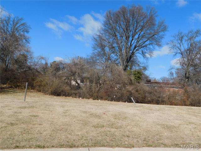 Land for sale in Ferguson, Missouri