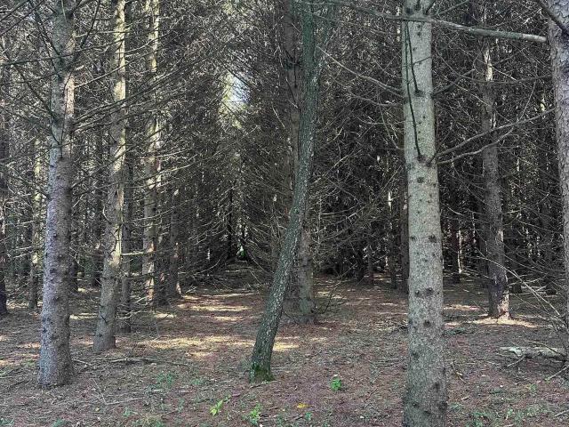 Land for sale in Winamac, Indiana