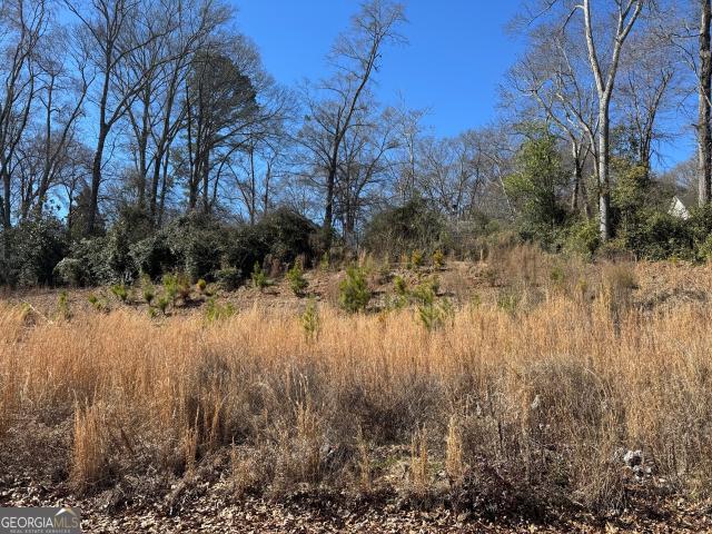 Land for sale in Hogansville, Georgia