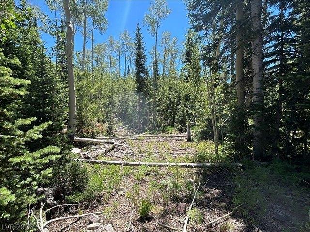 Land for sale in Brian Head, Utah