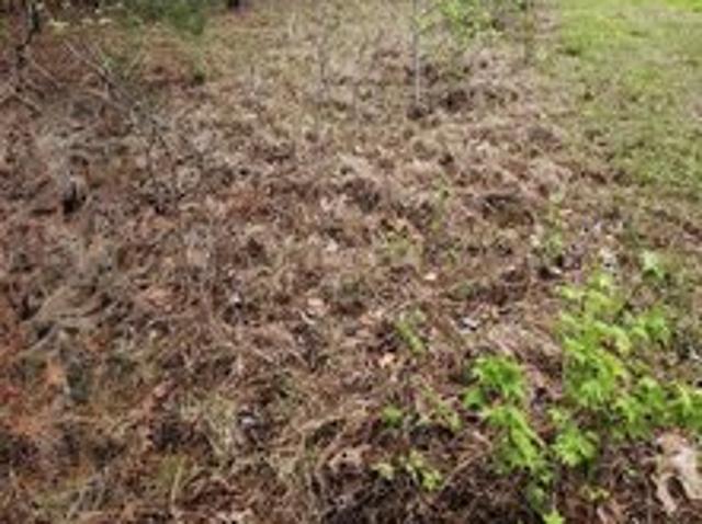 Land for sale in Cross Hill, South Carolina
