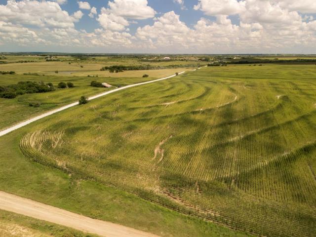 Land for sale in Penelope, Texas