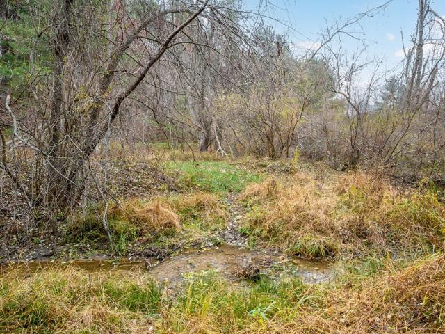 Land for sale in Virginia