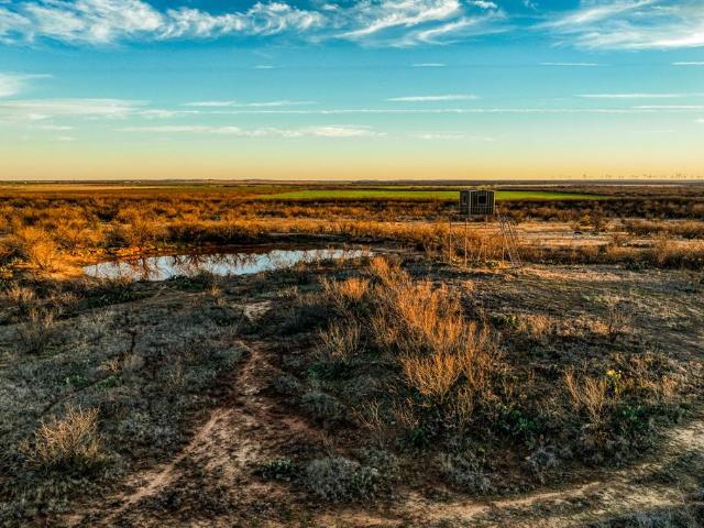 Land for sale in Olney, Young County