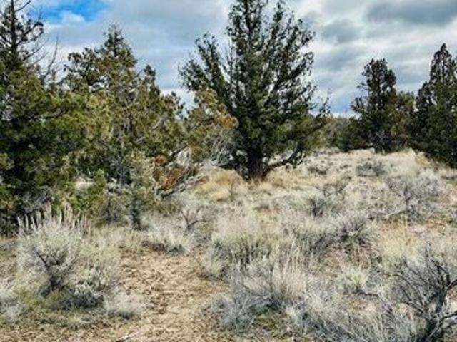 Land for sale in Oregonia