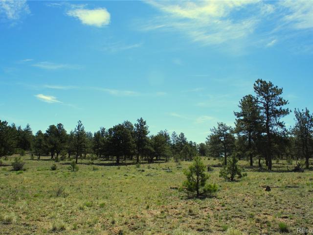 Land for sale in Fairplay, Colorado