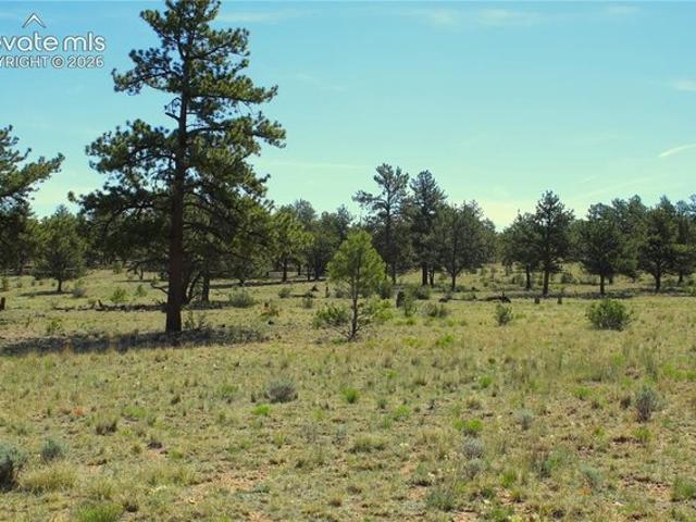 Land for sale in Fairplay, Colorado