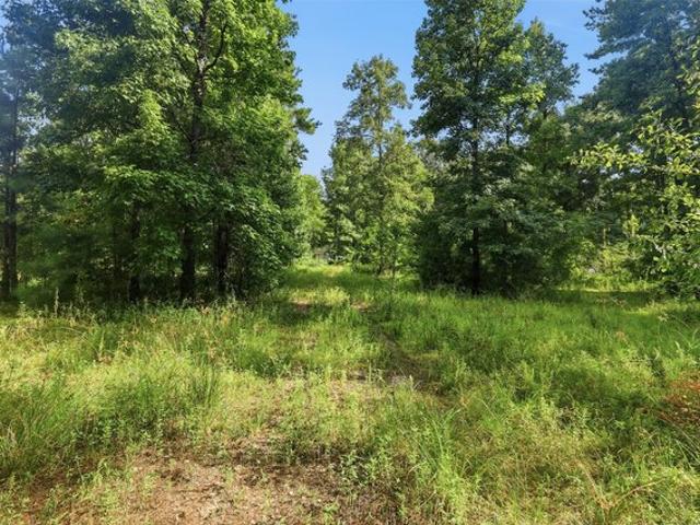 Land for sale in Texas