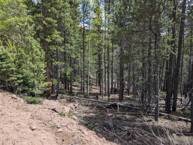 Land for sale in Fort Garland, Colorado