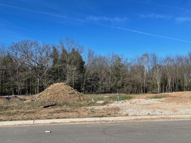 Land for sale in Green Bay, Wisconsin