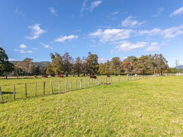 Land for sale in Coromandel, Waikato