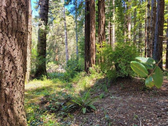 Land for sale in The Sea Ranch, California