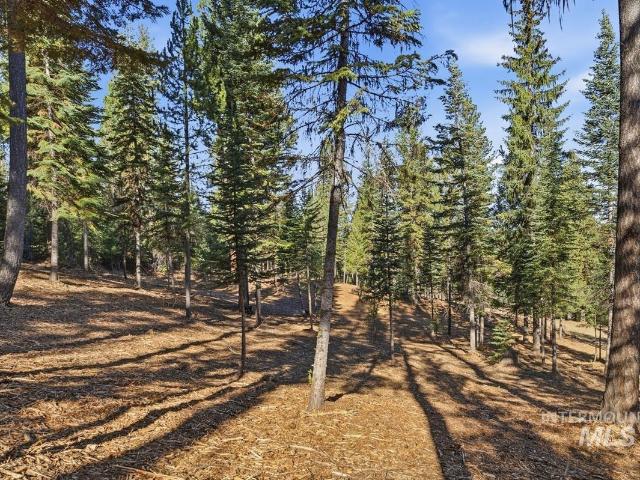 Land for sale in Cascade, Valley County