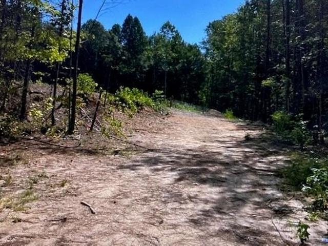 Land for sale in Rockmart, Polk County