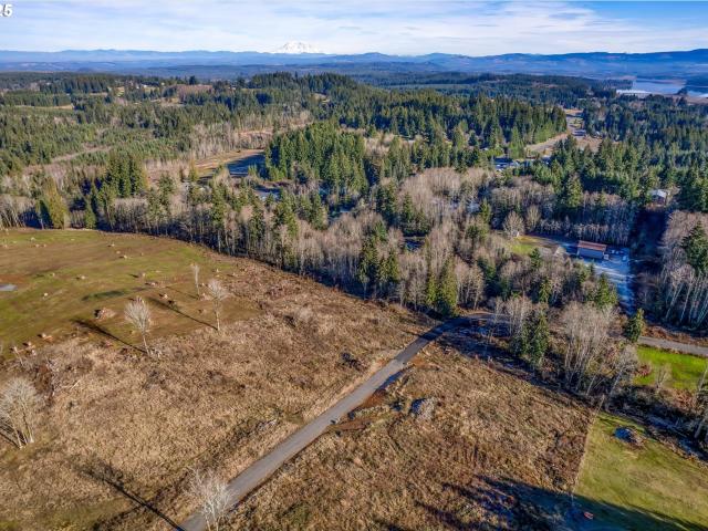 Land for sale in Castle Rock, Washington