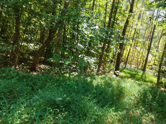 Land for sale in Anglers Cove, Kingston