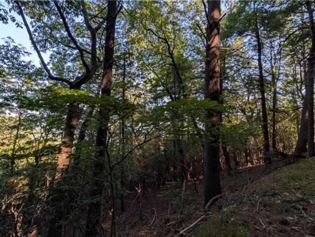 Land for sale in Big Canoe, Jasper