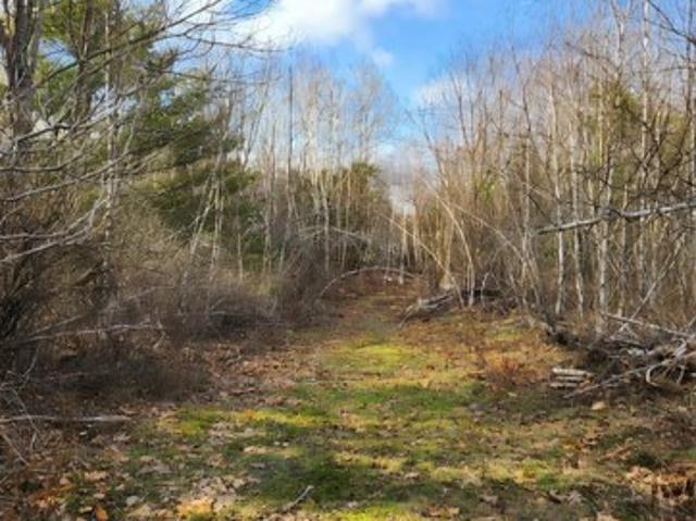 Land for sale in Newport, Maine