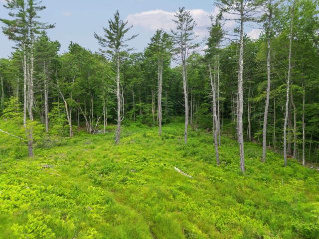 Land for sale in New Hampshire