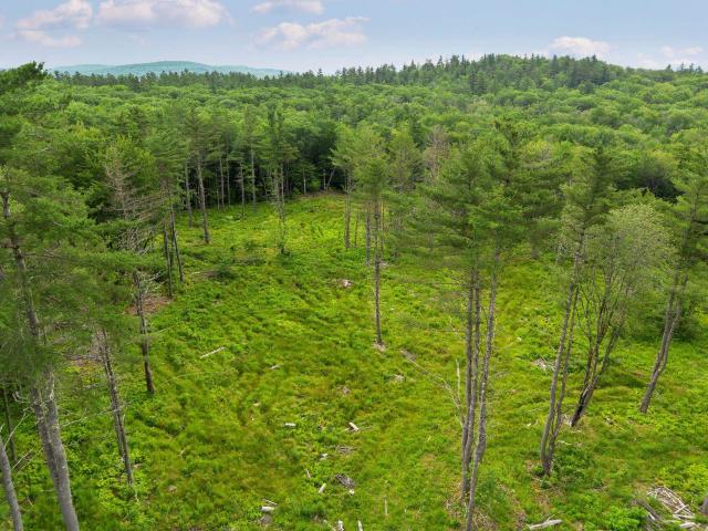 Land for sale in New Hampshire