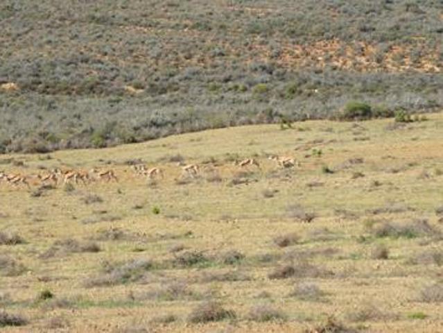 Land for sale in Montagu, Western Cape