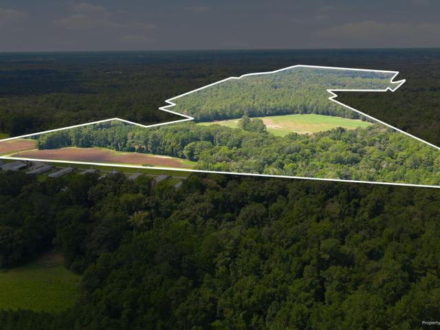 Land for sale in Trenton, North Carolina