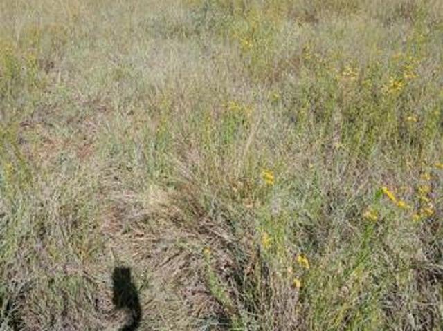 Land for sale in Kgalagadi, Northern Cape