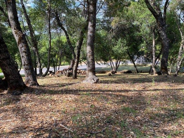 Land for sale in Angels Camp, California