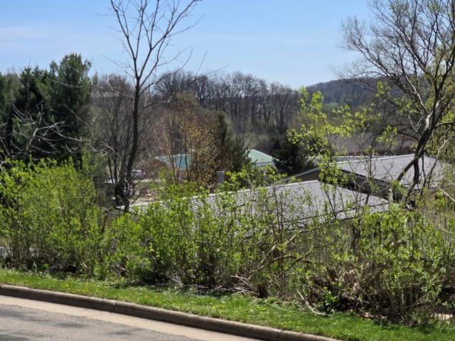 Land for sale in Preston, Minnesota