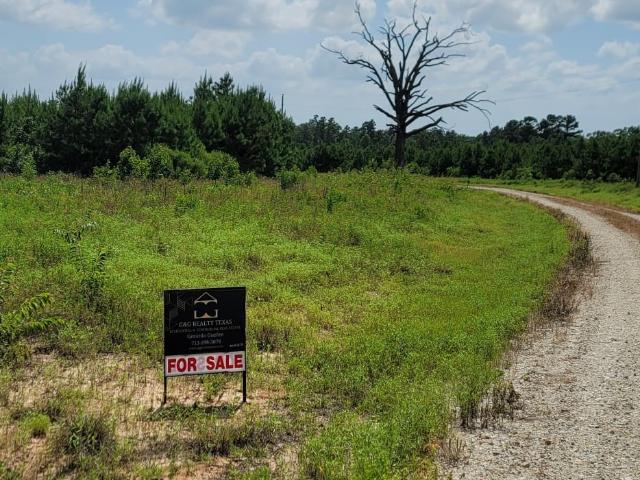 Land for sale in Lovelady, Houston County