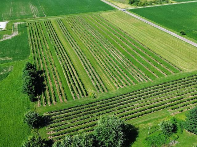 Land for sale in Hancock, Illinois