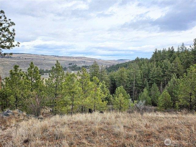 Land for sale in Oroville, Okanogan County