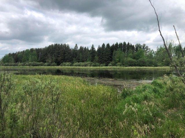 Land for sale in Minnesota