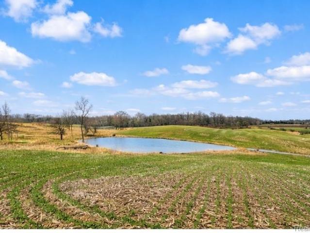 House for sale in Tuscola, Michigan