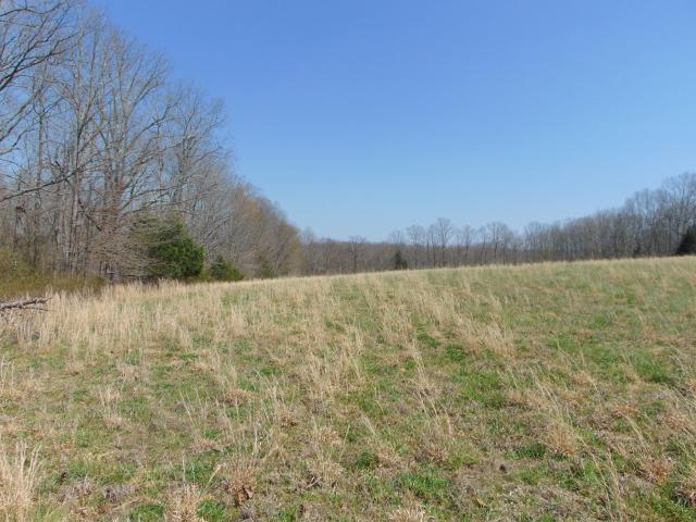 Land for sale in Tennessee