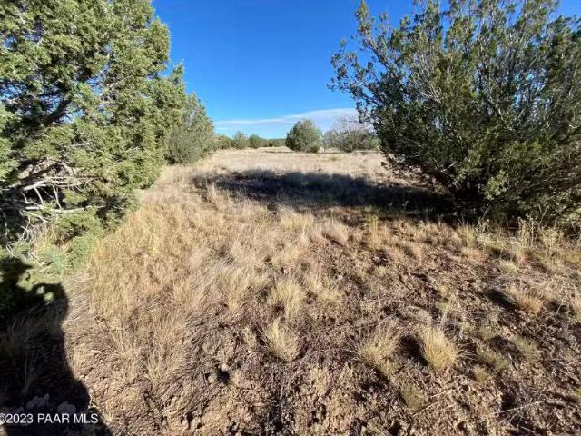 House for rent in Flagstaff, Arizona
