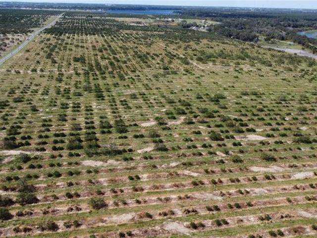 Land for sale in Avon Park, Florida
