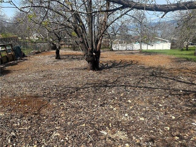 Land for sale in Lake, California