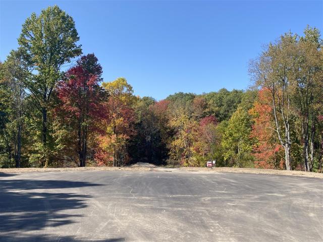 Land for sale in Shelbyville, Michigan