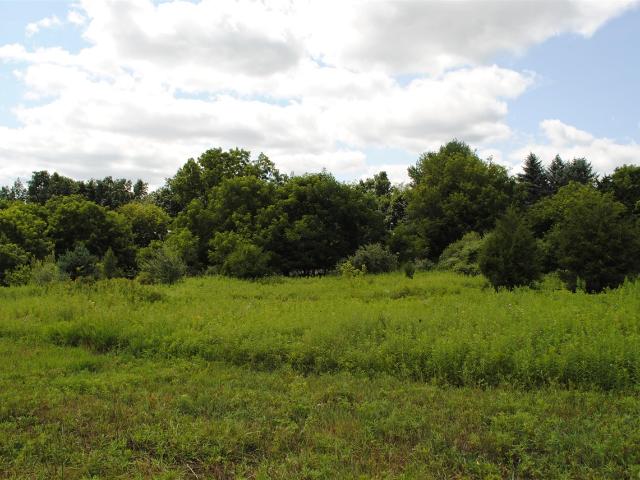 Land for sale in Michigan