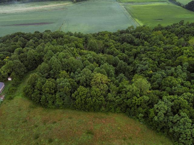 Land for sale in Fountain, Indiana