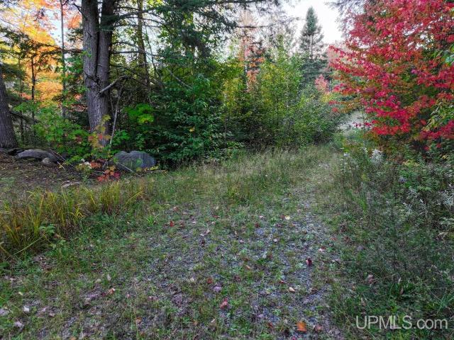 Land for sale in Covington Township, Baraga County