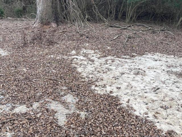 Land for sale in Bath, North Carolina