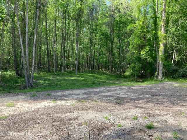 Land for sale in Bath, North Carolina