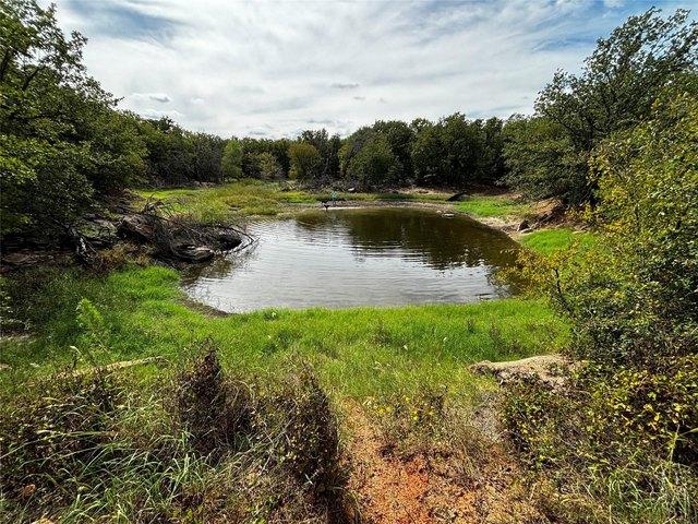 Land for sale in De Leon, Texas
