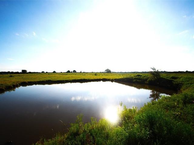 Land for sale in Pottsboro, Grayson County
