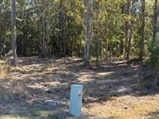 Land for sale in White Oak, Georgia